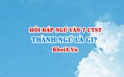 Thành ngữ là gì? Đặc điểm chức năng của thành ngữ, tục ngữ? Ví dụ? Ngữ Văn lớp 7 CTST